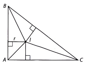 Cho ABC là tam giác vuông tại đỉnh A và nội tiếp đường tròn (O) có bán kính 5 cm. Biết rằng diện tích tam giác ABC bằng 24 cm2. Tính bán kính đường tròn nội tiếp của tam giác ABC. (ảnh 1)