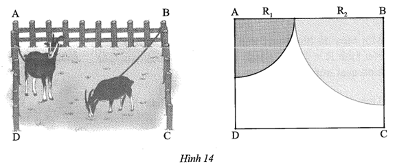 Một vườn cỏ có dạng hình chữ nhật ABCD với AB = 40 m, AD = 30 m. Người ta muốn buộc hai con dê ở hai góc vườn A, B. Có hai cách buộc:  Cách 1: Mỗi dây thừng dài 20 m. (ảnh 1)