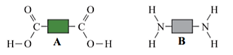 Hai monome khác nhau phản ứng với nhau để tạo thành polyamide. Hãy gọi chúng là A và B. Chỉ có nhóm chức của chúng tham gia phản ứng. (ảnh 1)