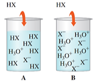 Cho hình ảnh biểu thị sự phân li của acid có dạng HX (X là các gốc acid khác nhau) như hình dưới.   Phát biểu nào dưới đây không đúng?  (ảnh 1)