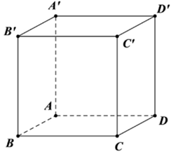 Cho hình lập phương ABCD.A'B'C'D' có độ dài các cạnh bằng a. Tính các tích vô hướng sau theo a: a) vecto AC . vecto B'D';  (ảnh 1)