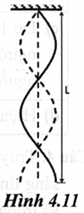 Hình 4.11 mô tả sóng dừng trên một sợi dây đàn hồi có một đầu cố định, một đầu thả tự do. Biết chiều dài của sợi dây là L = 75 cm. Điền số thích hợp vào chỗ trống trong các câu sau. (ảnh 1)
