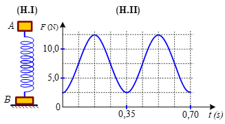 Một lò xo nhẹ được đặt thẳng đứng có đầu trên gắn với vật nhỏ A khối lượng m, đầu dưới gắn với vật nhỏ B khối lượng 2m, vật B được đặt trên mặt sàn nằm ngang như hình H.I. Kích thích cho A dao động điều hòa theo phương thẳng đứng. Lấy   Hình H.II là đồ thị biểu diễn sự phụ thuộc của áp lực F của B lên mặt sàn theo thời gian t. Gia tốc cực đại của A có giá trị gần nhất với giá trị nào sau đây?   (ảnh 1)