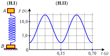 Một lò xo nhẹ được đặt thẳng đứng có đầu trên gắn với vật nhỏ A khối lượng m, đầu dưới gắn với vật nhỏ B khối lượng 2m, vật B được đặt trên mặt sàn nằm ngang như hình H.I. Kích thích cho A dao động điều hòa theo phương thẳng đứng. Lấy   Hình H.II là đồ thị biểu diễn sự phụ thuộc của áp lực F của B lên mặt sàn theo thời gian t. Cơ năng của vật A có giá trị nào sau đây? (ảnh 1)
