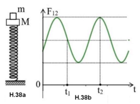 Một lò xo nhẹ có đầu dưới gắn vào giá cố định, đầu trên gắn với vật nhỏ , trên nó đặt vật nhỏ  (hình H.38a). Bỏ qua mọi lực cản, lấy . Kích thích cho hệ dao động điều hòa theo phương thẳng đứng. Hình vẽ (hình H.38b) là đồ thị biểu diễn sự phụ thuộc của phản lực mà  tác dụng lên  theo thời gian với . Tại thời điểm mà độ lớn của áp lực  đè lên  bằng 0,6 lần trọng lực của  thì tốc độ của  là: (ảnh 1)