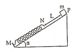 Trên một mặt phẳng nghiêng góc   so với phương ngang có một lò xo nhẹ, độ cứng  , một đầu gắn vào điểm cố định M. Một vật khối lượng m=200g đặt tại điểm P ở cách đầu N còn lại của lò xo một đoạn  L = 7,5 cm  được thả trượt không vận tốc ban đầu xuống dưới như hình bên. Biết rằng khi tới N vật chỉ tiếp xúc với lò xo chứ không bị gắn chặt vào lò xo. Bỏ qua mọi ma sát, lấy  . Khoảng thời gian ngắn nhất kể từ lúc thả vật đến khi vật trở lại vị trí ban đầu là (ảnh 1)