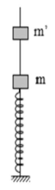 Một con lắc lò xo gồm một lò xo nhẹ độ cứng , đầu trên gắn với vật nhỏ  khối lượng , đầu dưới cố định. Con lắc thẳng đứng nhờ một thanh cứng cố định luồn dọc theo trục lò xo và xuyên qua vật  (hình vẽ). Một vật nhỏ  ' khối lượng  cũng được thanh cứng xuyên qua, ban đầu được giữ ở độ cao    so với vị trí cân bằng của vật . Thả nhẹ vật ' để nó rơi tự do tới va chạm với vật . Sau va chạm hai vật chuyển động với cùng vận tốc. Bỏ qua ma sát giữa các vật với thanh, coi thanh đủ dài, lấy . Chọn mốc thời gian là lúc hai vật va chạm nhau. Đến thời điểm  thì vật ' rời khỏi vật  lần thứ nhất. Giá trị của t gần nhất với giá trị nào sau đây? (ảnh 1)