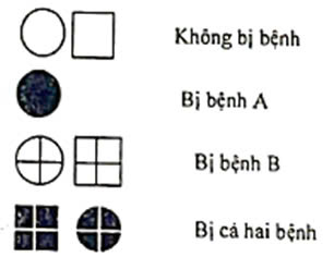 Sơ đồ phả hệ sau đây mô tả hai bệnh di truyền ở người. Biết mỗi bệnh do một gen có 2 alen (ảnh 2)