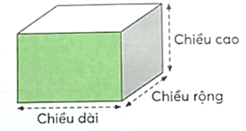 Đúng ghi đ, sai ghi s. Một hình hộp chữ nhật có các mặt đối diện cùng màu và ba kích thước cùng đơn vị đo. (ảnh 1)