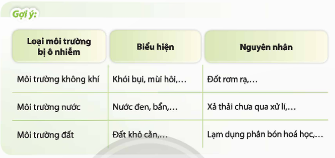 Chia sẻ thực trạng ô nhiễm môi trường tại địa phương. (ảnh 1)