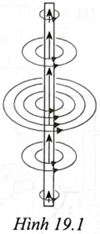 Hình 19.1 mô tả một nguồn phát sóng điện từ làm bằng một đoạn kim loại thẳng. Ở một thời điểm (ảnh 1)