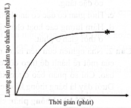 Tiến hành cho một lượng enzyme amylase vào lọ dung dịch tinh bột có nồng độ xác định. Tiến hành đo sản phẩm tạo thành theo thời gian, (ảnh 1)