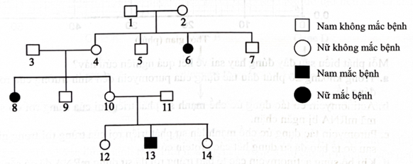 a. Bệnh này do allele lặn gây ra.  (ảnh 1)