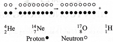 Quan sát Hình 22.1 cho biết: Các hạt nhân 17 8 O và 1 1 H được tạo ra từ các nucleon của hạt nhân nào? (ảnh 1)