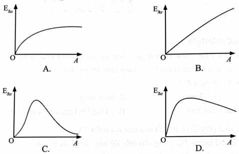 Đồ thị nào dưới đây mô tả gần đúng mối liên hệ giữa năng lượng liên kết riêng (Elkr) với số nucleon (A)? (ảnh 1)