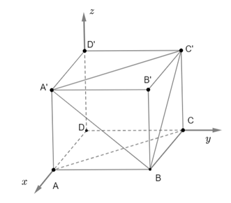 Cho hình hộp chữ nhật ABCD.A'B'C'D' có DA = 2, DC = 3, DD' = 2. Tính khoảng cách từ đỉnh B' đến mặt phẳng (BA'C'). (ảnh 1)