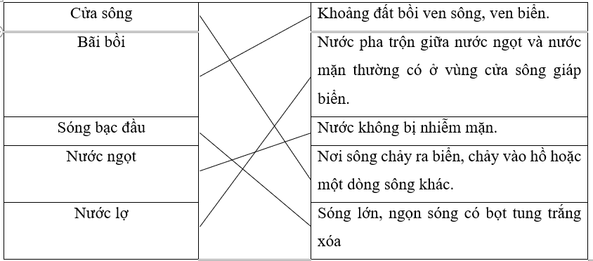 Nối từ ngữ ở cột A phù hợp với nghĩa của từ ở cột B. (ảnh 1)