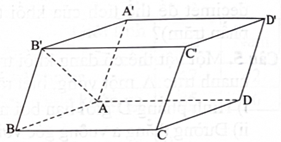 Cho hình hộp \(ABCD \cdot {A^\prime }{B^\prime }{C^\prime }{D^\prime }.\) Cặp vectơ nào sau đây là cặp vectơ chỉ phương của mặt phẳng \(({\rm{ABCD}})\) ? (ảnh 1)