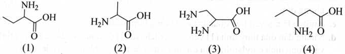 Cho các hợp chất có công thức cấu tạo dưới đây:   Những hợp chất nào trong số các chất trên thuộc loại \(\alpha \)-amino acid? 	 (ảnh 1)