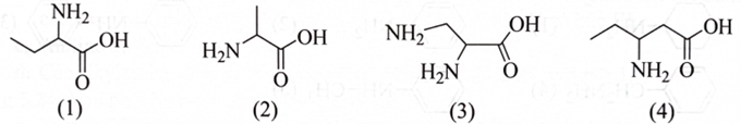 Cho các amino acid có công thức cấu tạo sau:   Tên gọi nào dưới đây không đúng với một trong các chất trên? 	A. 2-aminobutanoic acid.		B. 2,3-diaminopropanoic acid. 	C. Aniline.		D. Alanine. (ảnh 1)