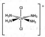 Phức chất \({\left[ {{\rm{Co}}{{\left( {{\rm{N}}{{\rm{H}}_3}} \right)}_4}{\rm{C}}{{\rm{l}}_2}} \right]^ + }\)có cấu trúc như hình bên.   Có bao nhiêu liên kết sigma có trong phức chất đó? (ảnh 1)