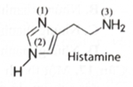 Hiện nay, thuốc kháng histamine được sử dụng khá phổ biến trong điều trị dị ứng. Công thức cấu tạo của histamine như hình bên. Bậc amine của nguyên tử nitrogen số 2 là (ảnh 1)