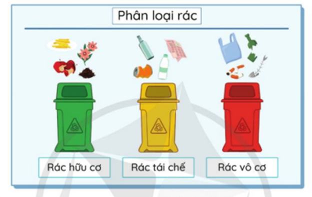 Em hãy thiết kế bảng chỉ dẫn để hướng dẫn mọi người phân loại rác thải vào khung dưới đây.  (ảnh 1)