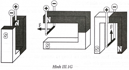 Hãy biểu diễn lực nam châm tác dụng lên đoạn dây dẫn nằm ngang trong các trường hợp ở Hình III.1. (ảnh 2)