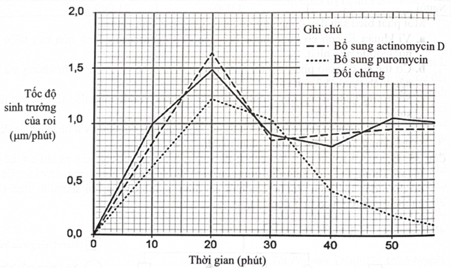 b. Actinomycin có tác dụng ức chế mạnh sự phát triển roi của trùng roi do sự phiên mã mRNA bị ngăn chặn. (ảnh 1)