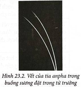 Hình 23.2 là ảnh chụp hai vết của tia alpha xuất phát từ một mẫu phóng xạ kích thước rất nhỏ được (ảnh 1)