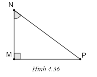 Chọn phương án đúng. Trong tam giác MNP vuông tại M (H.4.36), \(\sin \widehat {MNP}\) bằng   A. \(\frac{{PN}}{{NM}}.\) B. \(\frac{{MP}}{{PN}}.\) C. \(\frac{{MN}}{{PN}}.\) D. \(\frac{{MN}}{{MP}}.\) (ảnh 1)