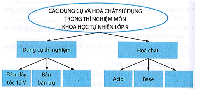 Lập sơ đồ khái niệm về các dụng cụ và hoá chất sử dụng trong thí nghiệm môn Khoa học tự nhiên lớp 9 (ảnh 1)