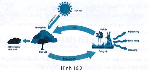 Dựa vào sơ đồ mô tả sự chuyển hoá năng lượng mặt trời thành các dạng năng lượng trên Trái Đất ở Hình 16.2 (ảnh 1)