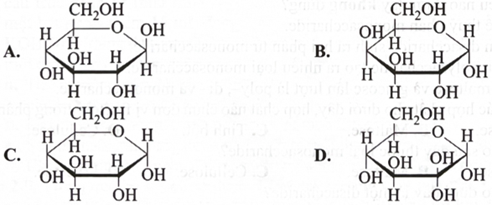 Công thức nào dưới đây phù hợp với công thức cấu tạo dạng mạch vòng của \(\alpha \)-glucose? (ảnh 1)