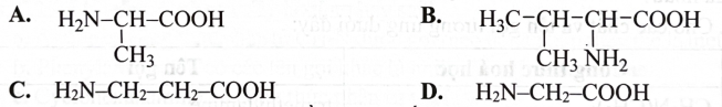 Cho các amino acid có tên là glycine, alanine, valine và glutamic acid. Công thức cấu tạo nào dưới đây không đúng với một trong số các chất trên? (ảnh 1)