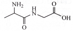 Cho dipeptide X có công thức cấu tạo như hình bên. Amino acid tạo nên X là    (ảnh 1)