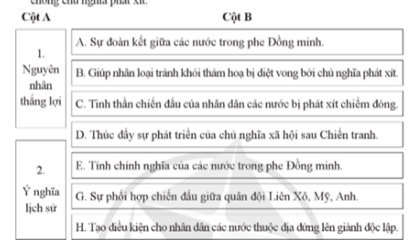 Ghép nội dung ở cột A với thông tin ở cột B để thấy được nguyên nhân thắng lợi, ý nghĩa lịch sữ về chiến thắng của các nước Đồng minh trong cuộc chiến chống chủ nghĩa phát xít. (ảnh 1)