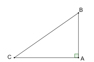 Tam giác ABC vuông tại A thì:  A. tan B + tan C = 0.  B. tan B + cot C = 0.  (ảnh 1)