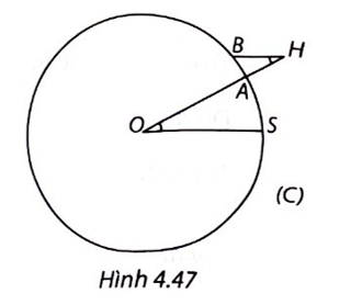 ĐỐ VUI. Chu vi Trái Đất bằng bao nhiêu? (ảnh 2)