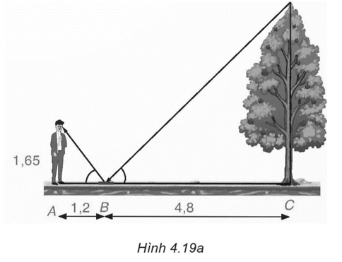 Một người đứng tại điểm A, cách gương phẳng đặt nằm trên mặt đất tại điểm B là 1,2 m, nhìn thấy hình phản chiếu qua gương B của ngọn cây (cây mọc thẳng đứng, có gốc ở tại điểm C cách B là 4,8 m, B nằm giữa A và C). Biết khoảng cách từ mặt đất đến mắt người đó là 1,65 m. Tính chiều cao của cây (H.4.19a).   (ảnh 1)