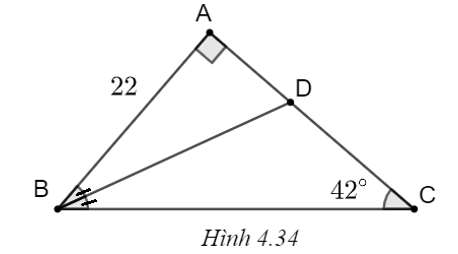 Cho tam giác ABC vuông ở A và BD là tia phân giác góc B. Biết \(\widehat C = 42^\circ ,\) AB = 22, tính độ dài BD, AD, DC (làm tròn đến chữ số thập phân thứ nhất). (ảnh 1)