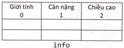 a. Biến (info) là một danh sách có cấu trúc như mảng hai chiều như hình minh hoạ sau đây: (ảnh 2)