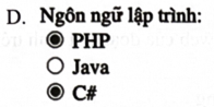 Cho đoạn mã lệnh HTML sau:   Phương án nào sau đây hiển thị đúng kết quả của đoạn mã lệnh trên trình duyệt? (ảnh 5)