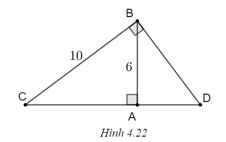 Cho tam giác ABC vuông tại A, BC = 10, AB = 6. a) Giải tam giác ABC. b) Từ B kẻ đường thẳng vuông góc với BC, cắt AC tại D. Tính BD, CD, AD và góc \(\widehat {ABD}.\) (Góc làm tròn đến độ, cạnh làm tròn đến chữ số thập phân thứ nhất). (ảnh 1)