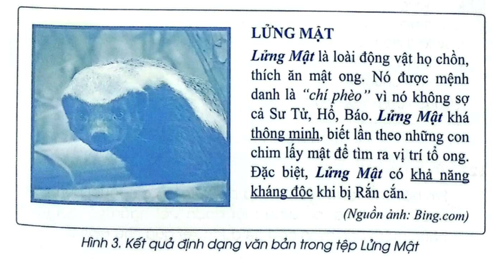 (Thực hành)  Em hãy mở tệp Lửng Mật ở câu E15 và định dạng lại văn bản cho đẹp hơn để nhận được kết quả như Hình 3. (ảnh 1)