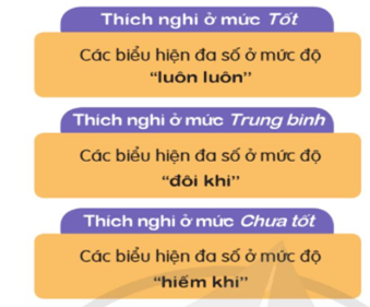 Đánh giá hiệu quả hoạt động phòng chống bắt nạt học đường.  Khám phá khả năng thích nghi của bản thân (ảnh 2)