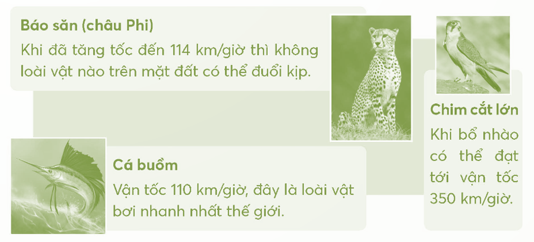 Đọc các thông tin trong SGK, viết vào chỗ chấm. Loài .......... có vận tốc lớn nhất. (ảnh 1)