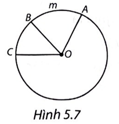 Chọn phương án đúng. Cho Hình 5.7. Khẳng định nào sau đây là đúng?   A. Cung AmB bị chắn bởi góc ở tâm AOB. B. Góc ở tâm AOC chắn cung AB. C. Cung AmB bị chắn bởi góc ở tâm BOC. D. Góc ở tâm AOC chắn cung BC. (ảnh 1)