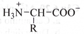 Trong dung dịch, amino acid X tồn tại ở dạng ion lưỡng cực (hình bên).   Đặt dung dịch X trong một điện trường. Khi đó, chất X (ảnh 1)