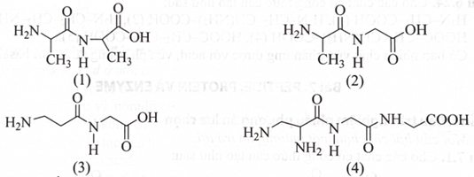 Cho các chất có công thức cấu tạo như sau:   Dung dịch chất nào có môi trường base? 	A. Chất (1).	B. Chất (3).	C. Chất (2).	D. Chất (4). (ảnh 1)